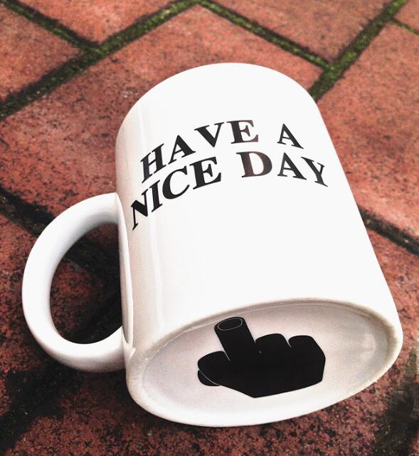 Have a Nice Day Coffee Mug Middle Finger Funny Cup